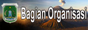 Organisasi